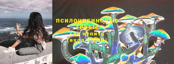 PSILOCYBIN Бородино